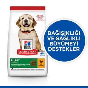 Hill's Science Plan Tavuklu Büyük Irk Yavru Köpek Maması 2,5 kg - 2