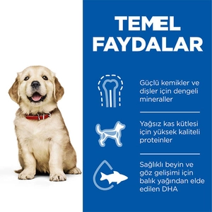 Hill's Science Plan Tavuklu Büyük Irk Yavru Köpek Maması 2,5 kg - 4
