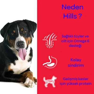 Hill's Science Plan Tahılsız Tavuklu Büyük Irk Yetişkin Köpek Maması 12 kg - 4