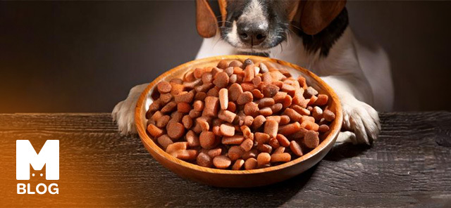 Hipoalerjenik Köpek Maması Nedir?