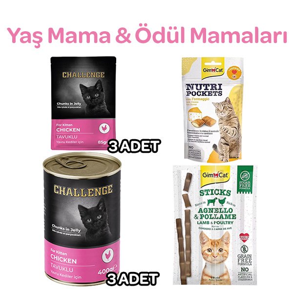 İlk Adım Seti - Yavru Kediler İçin Her Şey - 3