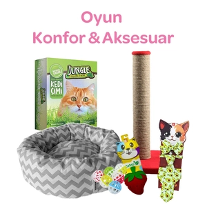 İlk Adım Seti - Yavru Kediler İçin Her Şey - 5