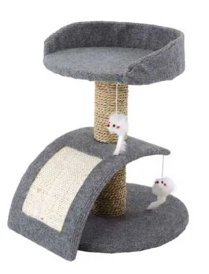 Imac Alvin Kedi Tırmalaması - 1