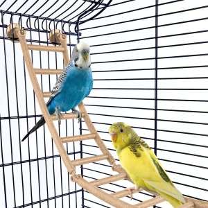 Imac Andorra Bombeli Kuş Kafesi Morcivert 61x38x76 cm - 3