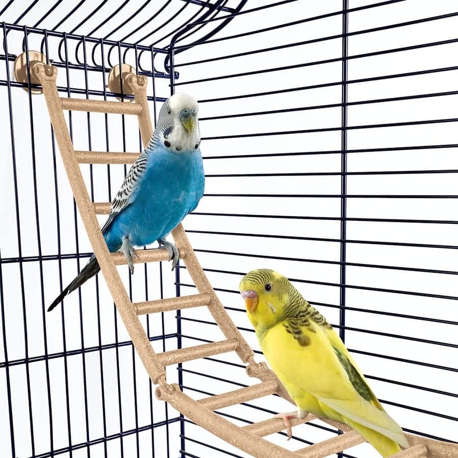 Imac Andorra Bombeli Kuş Kafesi Morcivert 61x38x76 cm - 3