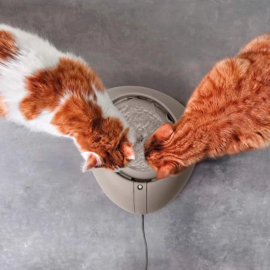 Imac Ciottou Kedi Köpek Su Pınarı 2 Lt - 2