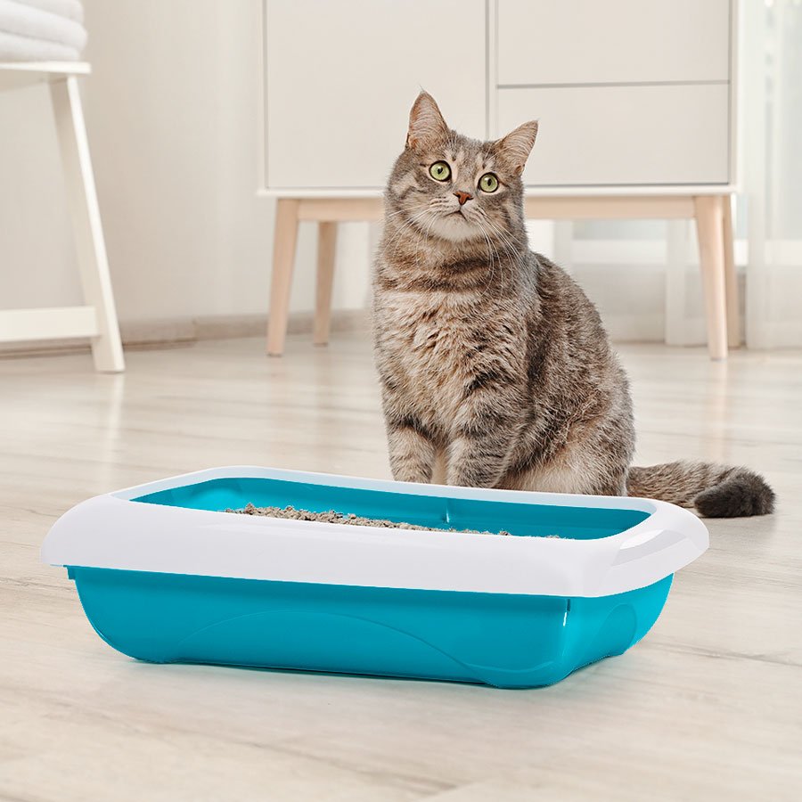 Imac Dodo' Kedi Tuvaleti 45,5x31x13,5cm - 5