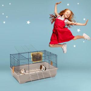 Imac Easy 60 Ginepig Kafesi 60.5x40.5x36 cm - 4