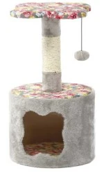 Imac Lady Kedi Tırmalaması