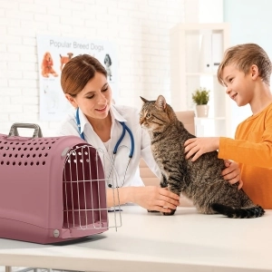 Imac Lınus 2nd Lıfe Evcil Hayvan Taşıma Çantası Yeşil 52,5x32x34,5cm - 2