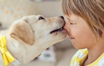 İnsanlarla İyi Geçinen En Sosyal Köpek Irkları