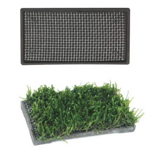 Ista Bitki Taban Seramik 5x10 cm cm Dikdörtgen - 1