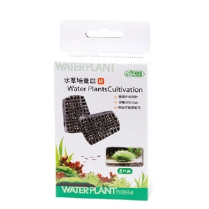 Ista Moss Tabanı Orta Boy 8 Ad