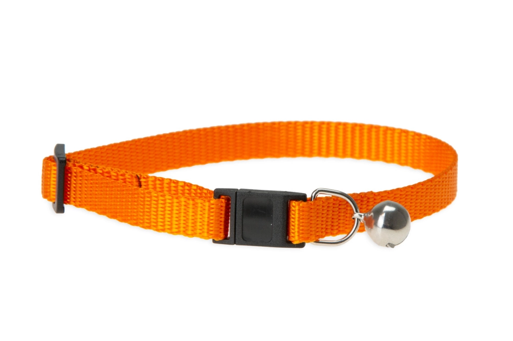 Karlıe Art Sp.kedi Boyun Tasma 30cm*10mm Turuncu - 1