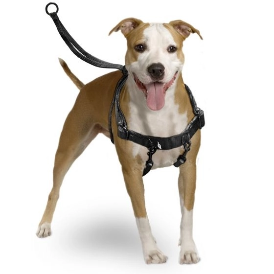 Karlıe Easy Walker Göğüs Tasma 31*39 Cm Medium - 1