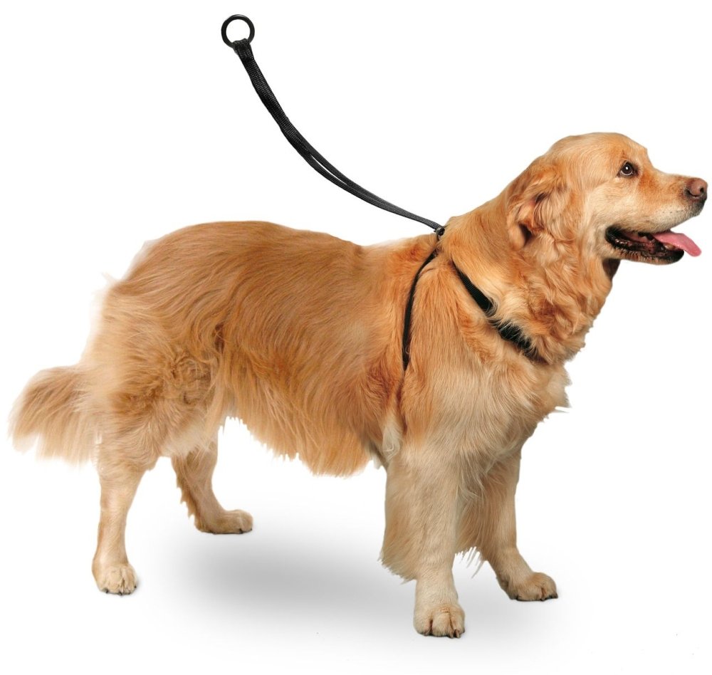 Karlıe Easy Walker Göğüs Tasma 40*58 Cm Large - 1