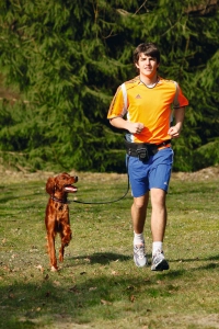 Karlıe Eller Serbest Köpek Gezdirme Tasması Siyah - 2