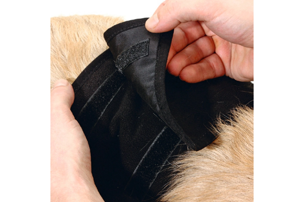 Karlıe İnkontinans Bandı (evcil Hayvan Alt Bezi)xl (90x30) - 2