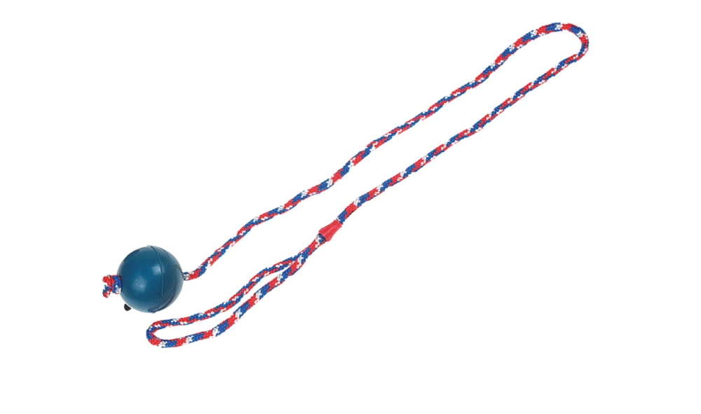 Karlıe İpli Plastik Top 6 Cm - 1