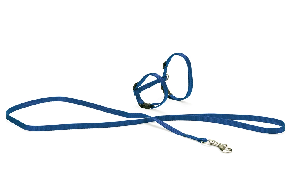 Karlıe Kedi Göğüs Tasması Mavi 110 - 1