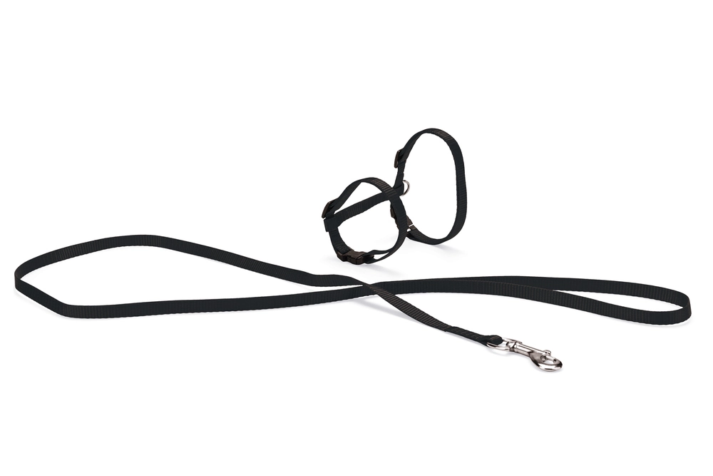 Karlıe Kedi Göğüs Tasması Siyah 110 - 1