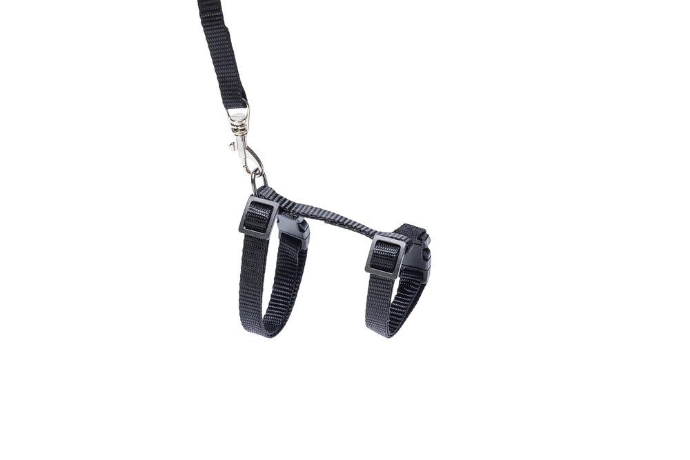 Karlıe Kedi Göğüs Tasması Siyah 120 - 1