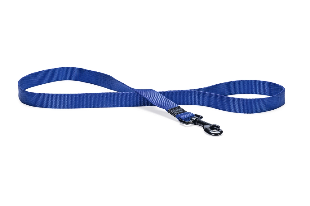 Karlıe Kilitli Boyun Tasması Mavi (55-75x4) - 1