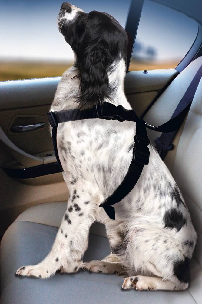 Karlıe Köpek Araç İçi Göğüs Tasması Siyah (68-86) - 1