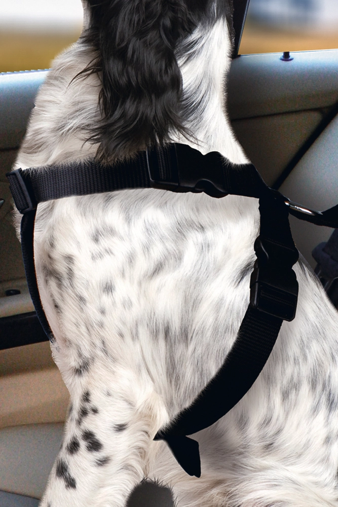 Karlıe Köpek Araç İçi Göğüs Tasması Siyah (68-86) - 2