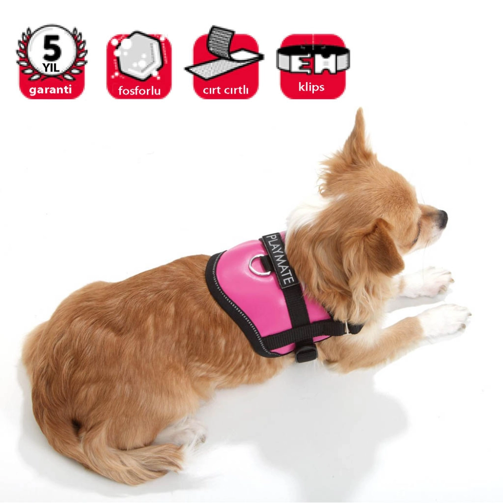 Karlıe Reflektörlü Göğüs Tasma S 36-46 Cm Pembe - 1