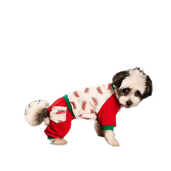 Karpuz Kedi & Köpek Tulum - 1