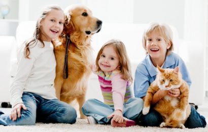 Kedi Severler ve Köpek Severler Arasındaki Fark