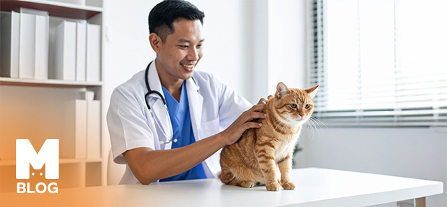 Kedi Köpeklerde Dış Parazit ve Bit