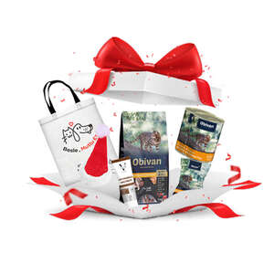 Kedilere Özel Yılbaşı Paketi Gold