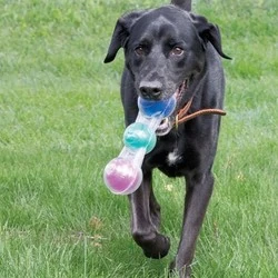 Kong Büyük Irk Köpeklere 3 Sesli Oyuncak L 14cm - 3