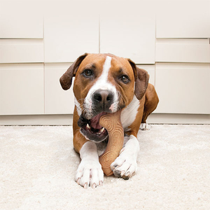 Kong ChewStix Ağaç Dalı Şeklinde Köpek Oyuncağı L - 3