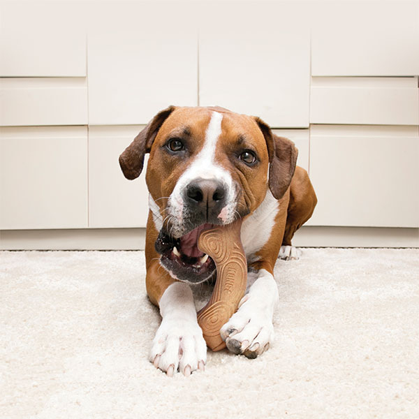 Kong ChewStix Ağaç Dalı Şeklinde Köpek Oyuncağı L - 3