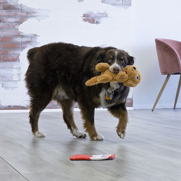 KONG Comfort Pups Goldie Köpek Şeklinde Peluş Köpek Oyuncağı M - 3