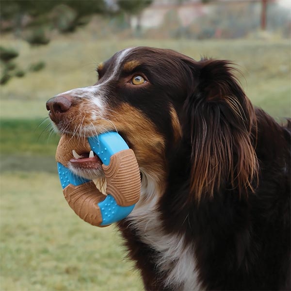 Kong CoreStrength Halka Şeklinde Köpek Oyuncağı S - 3