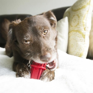 Kong Dental Stick Diş Temizliği Sağlayan Çok Amaçlı Köpek Oyuncağı S - 3