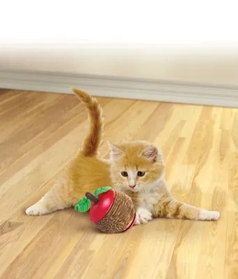 Kong Elma Şeklinde Kediotlu Tırmalama Oyuncak 8cm - 2