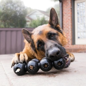 KONG Extreme Çoklu Top Şeklinde Köpek Oyuncağı Ultra Sert L - 3