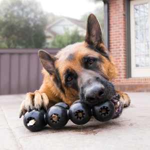 KONG Extreme Çoklu Top Şeklinde Köpek Oyuncağı Ultra Sert L - 3