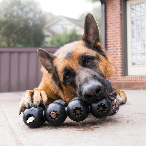 KONG Extreme Çoklu Top Şeklinde Köpek Oyuncağı Ultra Sert L - 3