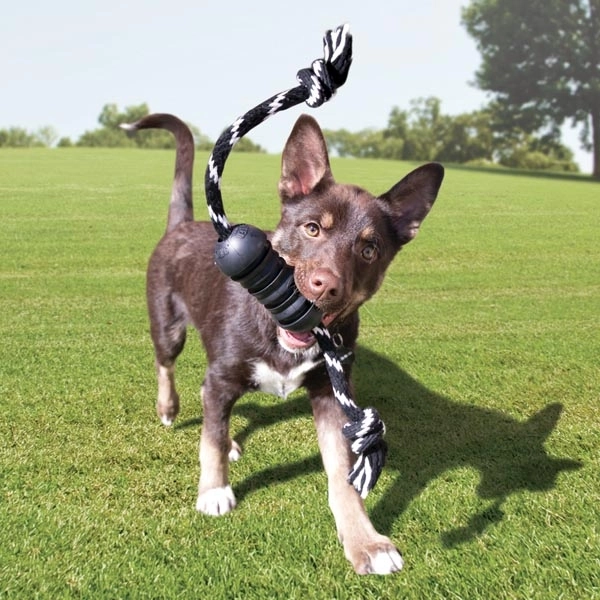 KONG Extreme Dental Diş Temizliği Sağlayan İp Sallantılı Köpek Oyuncağı Ultra Sert M - 3