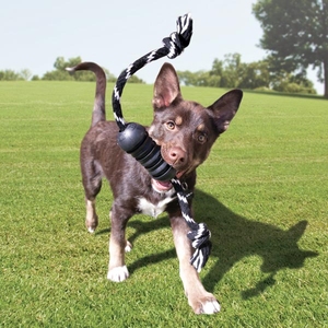Kong Extreme Dental Diş Temizliği Sağlayan İp Sallantılı Köpek Oyuncağı Ultra Sert M - 3