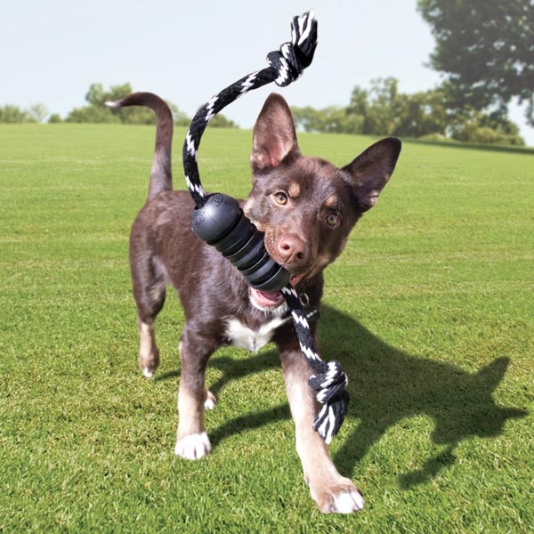 Kong Extreme Dental Diş Sağlığı Destekleyici Ultra Sert Kauçuk Köpek Oyuncağı (L) - 3