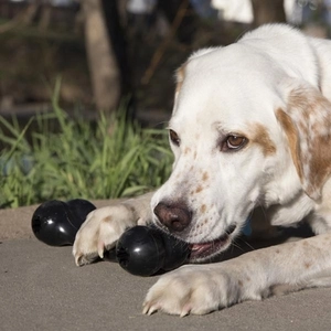 KONG Extreme Goodie Bone Kemik Şeklinde Çok Amaçlı Köpek Oyuncağı Ultra Sert L - 3