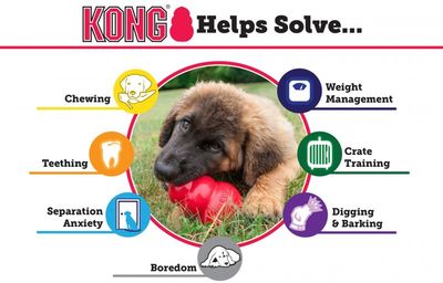 Kong Extreme Large 10cm - 3