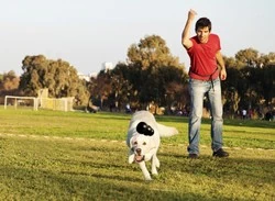 Kong Extreme Medium 9cm - 6